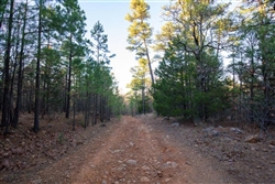 Oklahoma, Latimer  County, 11.79 Acre Stone Bridge II, Lot 87. TERMS $349/Month