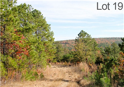 Oklahoma, Latimer  County, 11.36 Acre Stone Creek Ranch, Lot 19, Creek. TERMS $230/Month