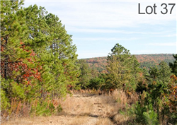 Oklahoma, Latimer  County, 11.84 Acre Stone Creek Ranch, Lot 37. TERMS $240/Month