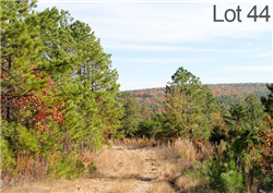 Oklahoma, Latimer  County, 12.49 Acre Stone Creek Ranch, Lot 44. TERMS $255/Month