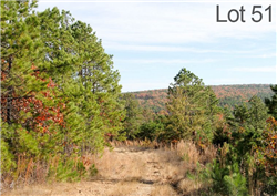 Oklahoma, Latimer  County, 14.07 Acre Stone Creek Ranch, Lot 51, Creek. TERMS $285/Month