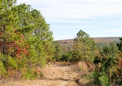 Oklahoma, Latimer  County, 87.01 Acre Stone Creek Ranch, Lot 64, Creek. TERMS $1,170/Month