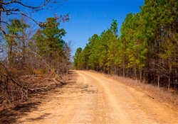 Oklahoma, Latimer  County,  5.85 Acre Stone Creek Phase II, Lot 256. TERMS $150/Month