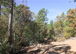 Oklahoma, Latimer  County, 18.44 Acre Stone Creek Phase I, Lot 102, Creek. TERMS $529/Month