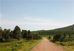 Oklahoma, Le Flore County, 6.93 Acre Tyler Stone Ranch, Lot 29. TERMS $474/Month