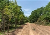 Oklahoma, McIntosh County, 3.07 Acre Timber Ridge, Lot 37.  CLEARANCE! TERMS $213/Month