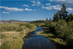 Oregon, Klamath  County,  0.14 Acres Town of Sprague River  Lots 16 & 17 Block 13, Electricity.  TERMS $92/Month