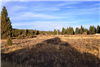 Oregon, Klamath  County,  0.07 Acres Town of Sprague River  Lot 20 Block 6, Electricity.  TERMS $42/Month