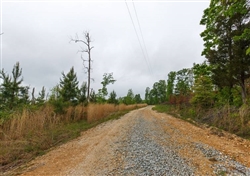 Tennessee, Benton County, 5.90 Acres Red Barn Ranch, Lot 11, Electricity, Stream. TERMS $449/Month