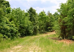 Tennessee, Carroll County, 9.91 Acre Bluebird Ranch. TERMS $290/Month