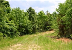 Tennessee, Carroll County, 8.77 Acre Bluebird Ranch, Lot 16. TERMS $289/Month