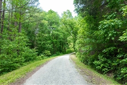 Tennessee, Perry County, 6.22 Acre Cedar Creek, Lot 9. TERMS $444/Month