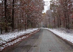 Tennessee, Decatur County, 7.60 Acre Sweet Water Ranch, Lot 15. TERMS $175/Month
