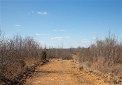 Tennessee, Perry County, 6.81 Acre Southwind Ranch, Lot 15, Creek. TERMS $514/Month