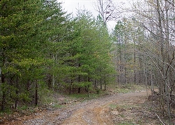 Tennessee, Sequatchie County, 11.02 Acre Hidden Hills, Lot 1. TERMS $314/Month