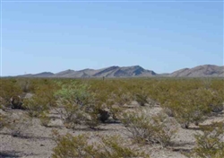 Texas, Hudspeth County, 86.90 Acres El Paso, Lot 3. TERMS $460/Month