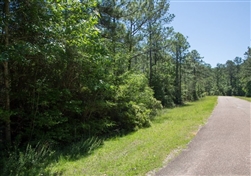 Texas, Jasper County, 0.50 Acre, Rayburn Country, Lot 14, Electricity. TERMS $70/Month