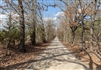 Texas, Red River County, 5 Acre Wishing Star Ranch, Lot 5 Electricity, Stream. TERMS $662/Month