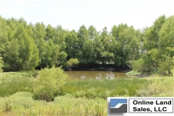 Texas, Red River County, 8.96 Acre McCoy Creek. TERMS $460/Month