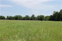Texas, Red River County, 8.96 Acre McCoy Creek. TERMS $405/Month