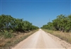 Texas, McCulloch County, 11 Acre Hunters Ranch, Lot 11, Electricity. TERMS $660/Month