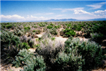 Utah, Iron County, 0.60 Acres Beryl Townsite Lots 1-7, & S 1/2 lot 27 (Adjoining). TERMS $156/Month