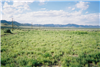 Utah, Iron County, 1.05 Acres Garden Valley Ranchos Lot 2087. TERMS $45/Month