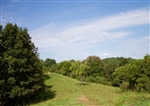 West Virginia, Roane County, 9.69 Acre Heritage Hollow, TERMS $320/Month