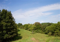 West Virginia, Roane County, 6.64 Acre Heritage Hollow, Lot 18. TERMS $220/Month