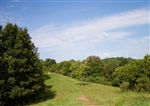 West Virginia, Roane County, 8.82 Acre Heritage Hollow, TERMS $265/Month