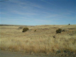 Arizona, Apache County, .25 Acre Concho Lakeland, $1,200 CASH