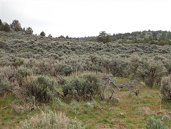 California, Lassen County, 20 Acres Moon Valley Ranch. TERMS $244/Month