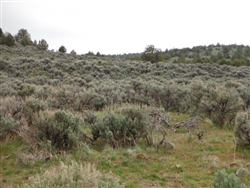 California, Lassen County,  20.56 Acres Moon Valley Ranch. TERMS $210/Month