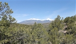 Colorado, Costilla County, 5.14 Acres Sangre De Cristo Ranches. TERMS $190/Month