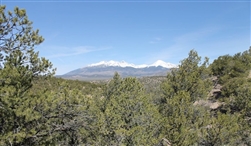 Colorado, Costilla County, 5.14 Acres Sangre De Cristo Ranches. TERMS $304/Month