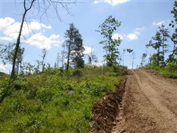 Missouri, Shannon County, 20.35 Acres Antler Ridge. TERMS $250/Month