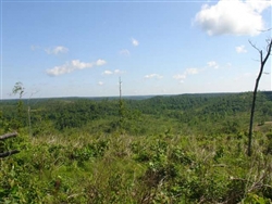 Missouri, Shannon County, 30.01 Acres Antler Ridge. TERMS $329/Month