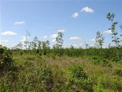 Missouri, Shannon County, 17.28 Acres Antler Ridge. TERMS $250/Month