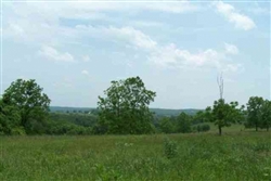 Missouri, Texas County, 5 Acre Whispering Oaks Ranch. TERMS $210/Month