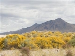 Nevada, Humboldt County, 80 Acres Near Winnemucca. TERMS $300/Month