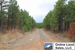 Oklahoma, Pittsburg County, 23.02 Acre Indian Ridge. TERMS $340/Month
