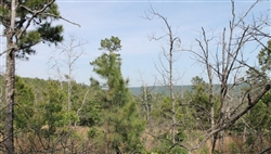 Oklahoma, Pittsburg County, 12.55 Acres Indian Ridge II, Electricity. TERMS $310/Month