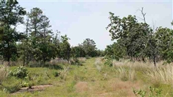 Oklahoma, Pittsburg County, 14.78 Acres Indian Ridge II, Lot 53. TERMS $439/Month