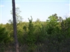 Oklahoma, Latimer  County, 5 Acre Pine Mountain Ranch. TERMS $185/Month