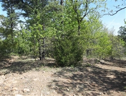Oklahoma, Latimer  County, 6.65 Acre Pine Mountain Ranch. TERMS $204/Month