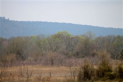Oklahoma, Pittsburg County, 5.01 Acre Daisy Meadows. TERMS $200/Month