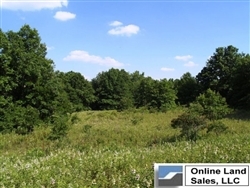 Oklahoma, Okfuskee County, 20 Acre Silver Moon Ranch. TERMS $580/Month