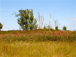 Oklahoma, Okfuskee County, 5.34  Acre Saddlebrook Ranch. TERMS $250/Month