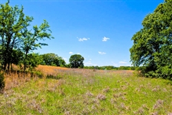 Oklahoma, Okfuskee County, 7.8 Acre Saddlebrook Ranch. TERMS $349/Month