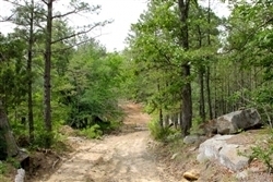 Oklahoma, Pushmataha County, 11.67 Acre Trophy Ridge III. TERMS $200/Month